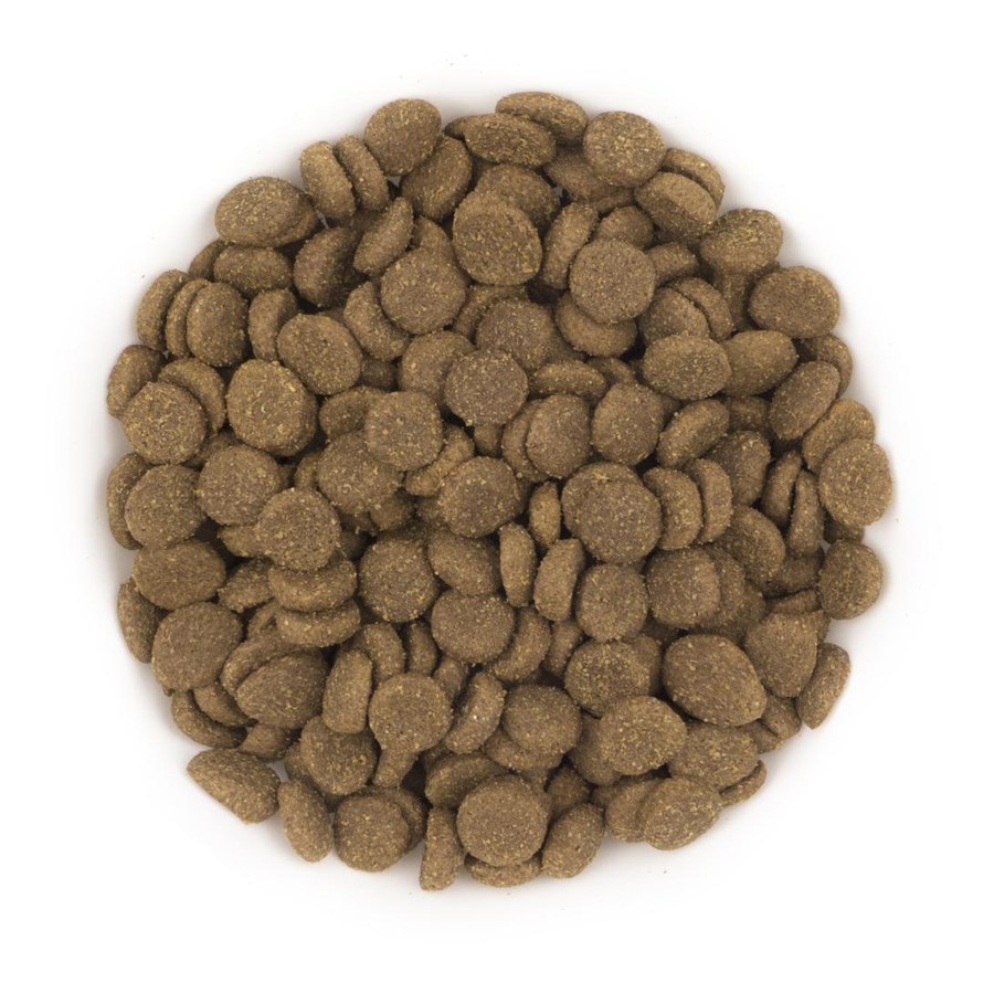 Pure Adventure Puppy kibble — actual size